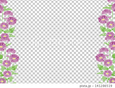水彩風 紫の菊の左右フレームイラスト 菊と葉が縦に並ぶ可愛い手描きの飾り枠 水彩風 紫の菊の左右フレームイラスト 菊と葉が縦に並ぶ可愛い手描きの飾り枠 141286519