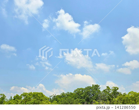 夏の青空と白い雲 夏の青空と白い雲 141286550