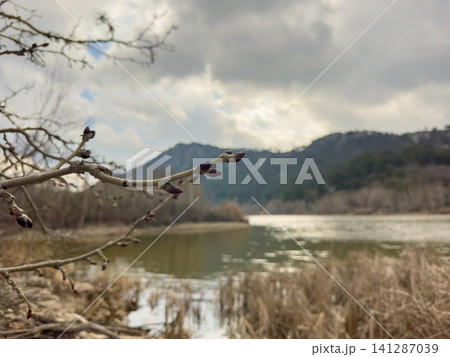 Beautiful lake and sky landscape in autumn Beautiful lake and sky landscape in autumn 141287039