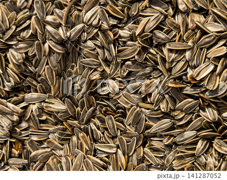 Fresh sunflower seeds on display at the local market Fresh sunflower seeds on display at the local market 141287052