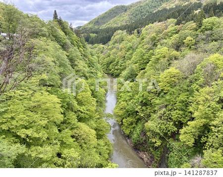 川原湯橋からの新緑の小安峡の眺め 141287837