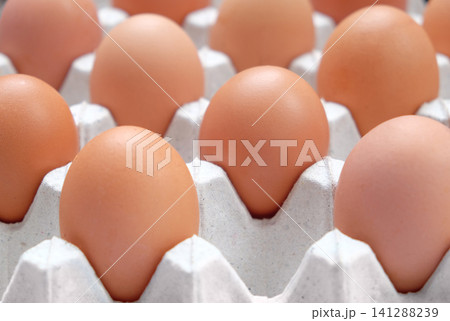 many raw fresh eggs on the tray ready for cooking many raw fresh eggs on the tray ready for cooking 141288239