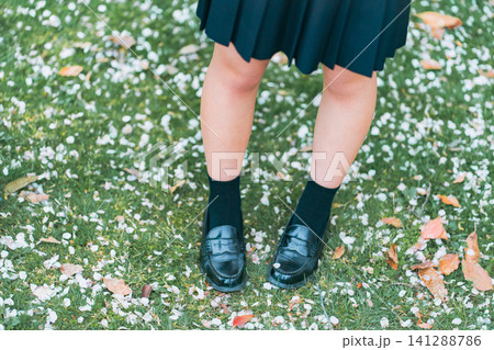 桜の花びら散る芝生に立つ制服女子高生のローファー足元俯瞰 桜の花びら散る芝生に立つ制服女子高生のローファー足元俯瞰 141288786