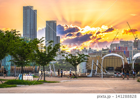 夏のソウル 夕暮れの盤浦漢江公園とセビッソム 夏のソウル 夕暮れの盤浦漢江公園とセビッソム 141288828