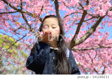 桜の下で遊ぶランドセルを背負った日本人の女の子 桜の下で遊ぶランドセルを背負った日本人の女の子 141289211