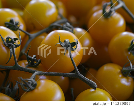 yellow tomatoes at the market yellow tomatoes at the market 141289895