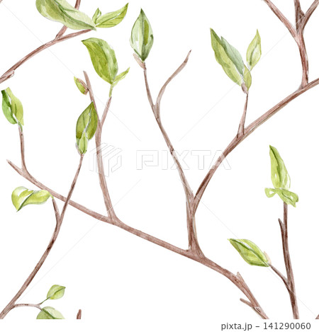 Watercolor seamless pattern with delicate spring tree branches, fresh green leaves on white background. Hand painted botanical design great for fabric, wallpaper, wrapping paper, textiles, stationery Watercolor seamless pattern with delicate spring tree branches, fresh green leaves on white background. Hand painted botanical design great for fabric, wallpaper, wrapping paper, textiles, stationery 141290060