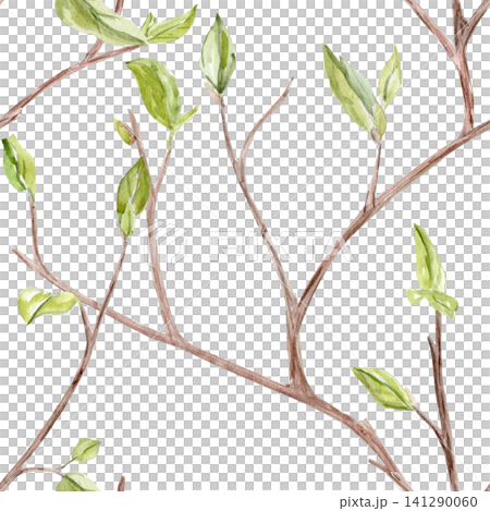 Watercolor seamless pattern with delicate spring tree branches, fresh green leaves on white background. Hand painted botanical design great for fabric, wallpaper, wrapping paper, textiles, stationery Watercolor seamless pattern with delicate spring tree branches, fresh green leaves on white background. Hand painted botanical design great for fabric, wallpaper, wrapping paper, textiles, stationery 141290060