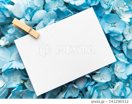 Blank card with clothespin on blue hydrangeas Blank card with clothespin on blue hydrangeas 141290312