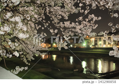 犀川の穏やかな流れと満開の桜が織りなす金沢の風情ある春の夜 犀川の穏やかな流れと満開の桜が織りなす金沢の風情ある春の夜 141290858