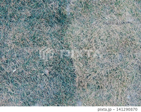 An overhead view of a lawn divided into two zones. The left side is covered in dull green grass, while the right side is completely dry, offering a stark contrast to the burnt-out lawn. An overhead view of a lawn divided into two zones. The left side is covered in dull green grass, while the right side is completely dry, offering a stark contrast to the burnt-out lawn. 141290870