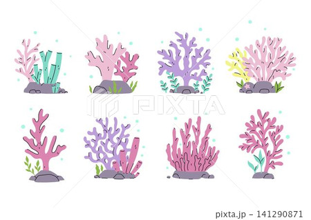 A set of corals of various shapes. Vector graphics. A set of corals of various shapes. Vector graphics. 141290871