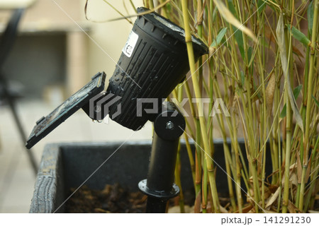Closeup of a waterproof solar LED garden spotlight covered with rain drops beside bamboo plants. Eco friendly outdoor lighting for gardens, pathways and landscaping. Closeup of a waterproof solar LED garden spotlight covered with rain drops beside bamboo plants. Eco friendly outdoor lighting for gardens, pathways and landscaping. 141291230