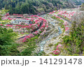 長野県阿智村 桃源郷 展望台から見る「花桃の里」 141291478