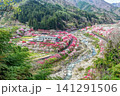 長野県阿智村 桃源郷 展望台から見る「花桃の里」 141291506