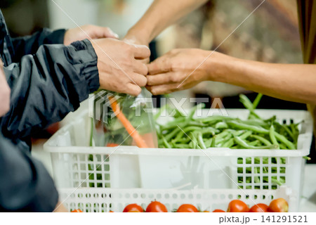 Closeup of hands selecting fresh green round eggplants from a red plastic crate at a local market	 141291521