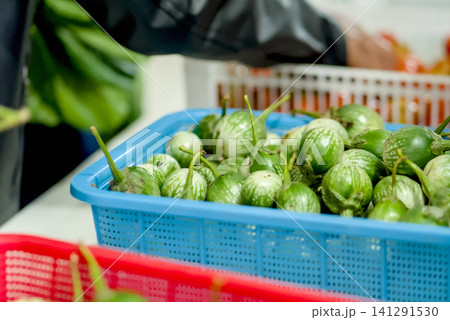 Closeup of hands selecting fresh green round eggplants from a red plastic crate at a local market	 141291530