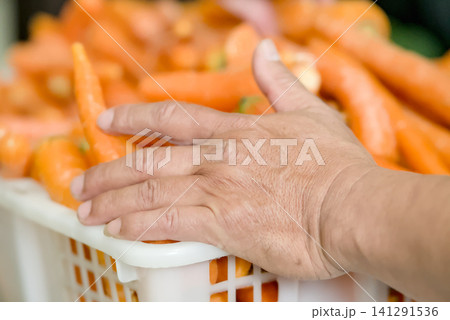 Closeup of a persons hand resting on a plastic crate filled with fresh, raw carrots in a market or farm setting Closeup of a persons hand resting on a plastic crate filled with fresh, raw carrots in a market or farm setting 141291536