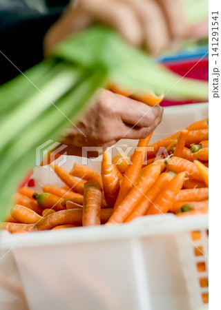 Closeup of a persons hand resting on a plastic crate filled with fresh, raw carrots in a market or farm setting	 141291541