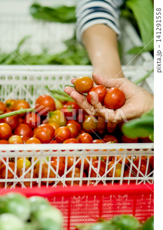 Closeup of hands holding fresh green leafy vegetables and small red tomatoes during a food distribution or market activity	 141291558