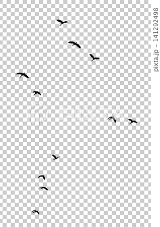 Flock of Flying Wild Ducks Black Silhouette PNG Cutout on Transparent Background, Bird Design Element Flock of Flying Wild Ducks Black Silhouette PNG Cutout on Transparent Background, Bird Design Element 141292498