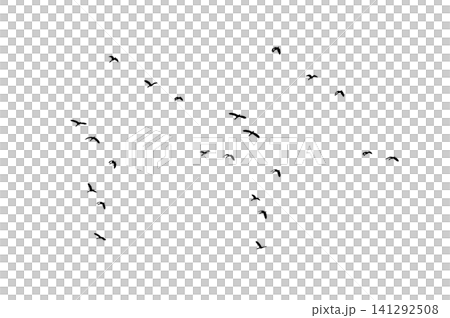 Flock of Flying Wild Ducks Black Silhouette PNG Cutout on Transparent Background, Bird Design Element Flock of Flying Wild Ducks Black Silhouette PNG Cutout on Transparent Background, Bird Design Element 141292508