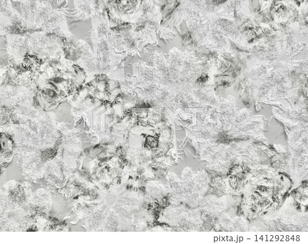 intricate silver jacquard fabric texture features delicate distressed floral embroidery overlay creating ethereal mood 141292848