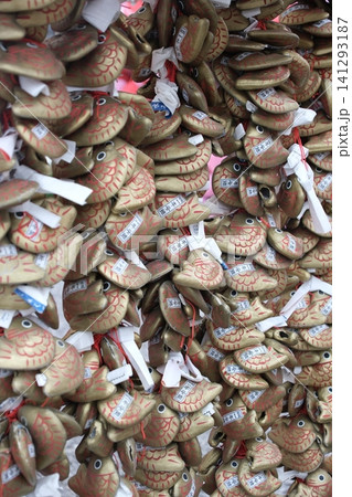 埼玉県熊谷市・龍泉寺に結ばれた魚のおみくじ 埼玉県熊谷市・龍泉寺に結ばれた魚のおみくじ 141293187