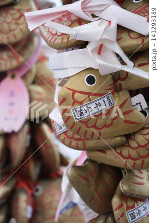 埼玉県熊谷市・龍泉寺の魚みくじと結ばれたおみくじ 埼玉県熊谷市・龍泉寺の魚みくじと結ばれたおみくじ 141293189