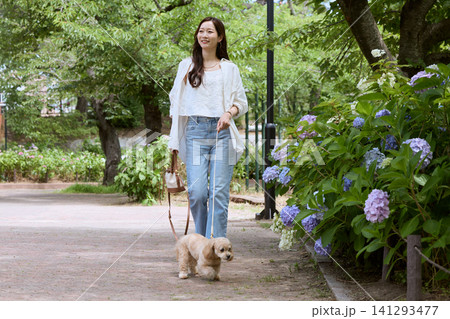 紫陽花が咲く公園で小型犬を散歩する若い女性 141293477