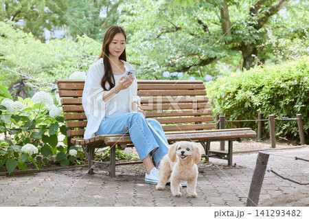 公園のベンチでスマホを見る愛犬連れの若い女 公園のベンチでスマホを見る愛犬連れの若い女 141293482