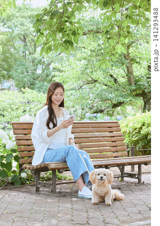 公園のベンチでスマホを見る愛犬連れの若い女 公園のベンチでスマホを見る愛犬連れの若い女 141293488