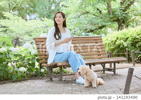 公園のベンチでスマホを見る愛犬連れの若い女 公園のベンチでスマホを見る愛犬連れの若い女 141293490