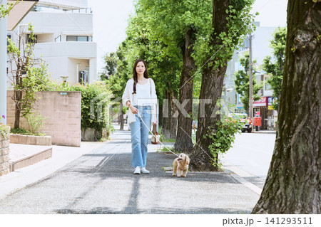 新緑の街路樹が美しい歩道で愛犬と散歩する若い女性 新緑の街路樹が美しい歩道で愛犬と散歩する若い女性 141293511