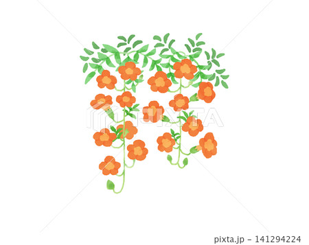 レトロな雰囲気のノウゼンカズラのイラスト レトロな雰囲気のノウゼンカズラのイラスト 141294224