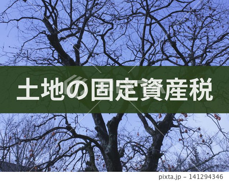 土地の固定資産税の文字入り写真 土地の固定資産税の文字入り写真 141294346