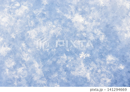 Macro photo of delicate snowflakes and frost crystals Macro photo of delicate snowflakes and frost crystals 141294669