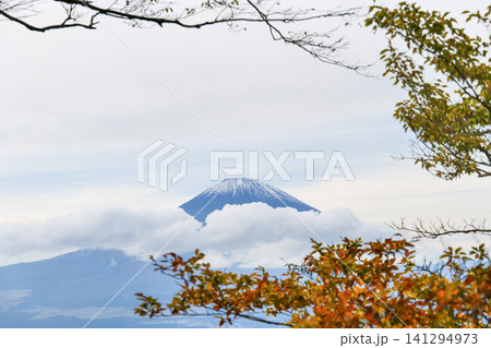 紅葉した木々の間から見える富士山 紅葉した木々の間から見える富士山 141294973