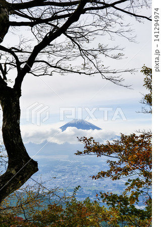 紅葉の間から見える富士山 紅葉の間から見える富士山 141294974