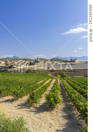 Vineyard rows leading to Morentin village, Navarra, Spain Vineyard rows leading to Morentin village, Navarra, Spain 141295494