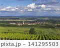 Saint Hippolyte village with vineyards under cloudy sky in Grand Est, France Saint Hippolyte village with vineyards under cloudy sky in Grand Est, France 141295503