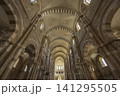 UNESCO World Heritage Site Vezelay Abbey nave interior UNESCO World Heritage Site Vezelay Abbey nave interior 141295505