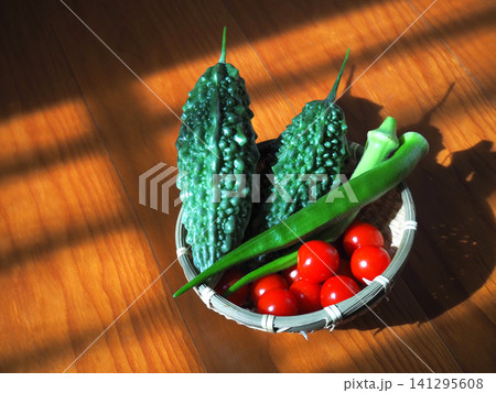 家庭菜園で収穫した新鮮な夏野菜 141295608