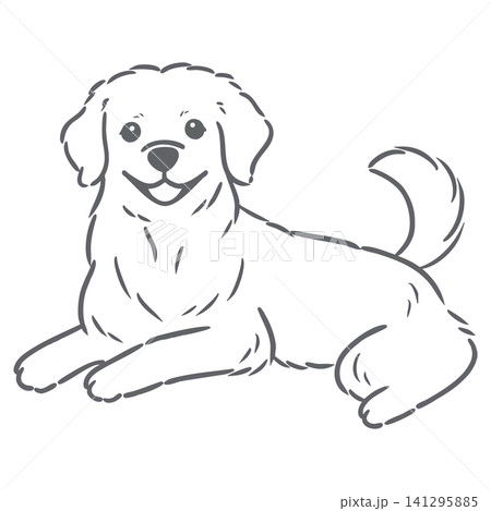 伏せして座っているゴールデンレトリバーのシンプル手描き線画イラスト 伏せして座っているゴールデンレトリバーのシンプル手描き線画イラスト 141295885