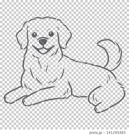 伏せして座っているゴールデンレトリバーのシンプル手描き線画イラスト 伏せして座っているゴールデンレトリバーのシンプル手描き線画イラスト 141295885