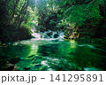 神秘な清流 141295891