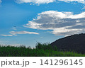 夏空とトンボ 141296145