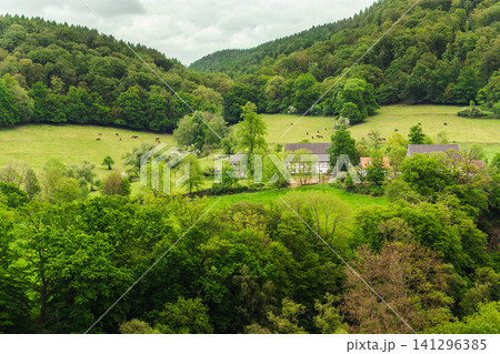 Aerial view of rural valley with traditional farmhouse surrounded by green forest and grazing horses in western Germany countryside Aerial view of rural valley with traditional farmhouse surrounded by green forest and grazing horses in western Germany countryside 141296385