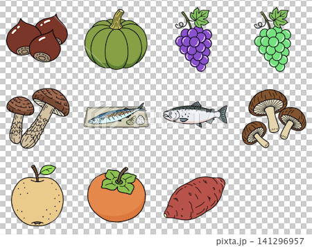 秋の味覚イラスト集 秋の味覚イラスト集 141296957