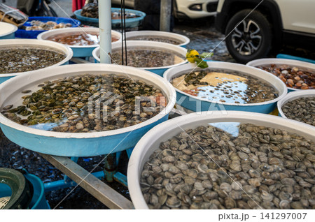Naples, italy. December 28, 2024. Multiple large basins displaying fresh clams and mussels, ready for purchase at a vibrant seafood market in naples, italy Naples, italy. December 28, 2024. Multiple large basins displaying fresh clams and mussels, ready for purchase at a vibrant seafood market in naples, italy 141297007